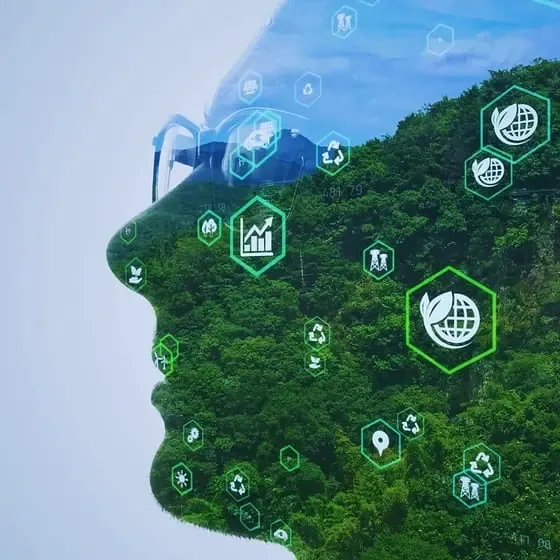 Silhouette with eco icons over forest background.