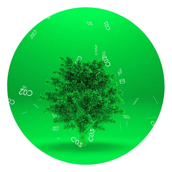 Tree absorbing CO2 in green background