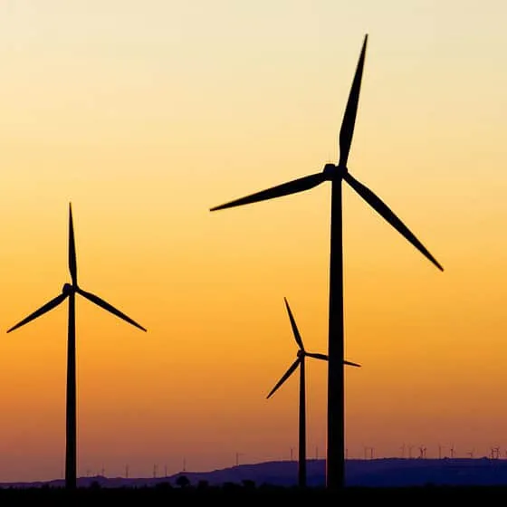 Wind turbines at sunset in a field