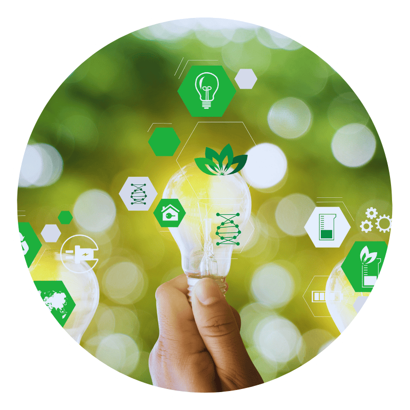 Hand holding eco-friendly lightbulb with green icons.
