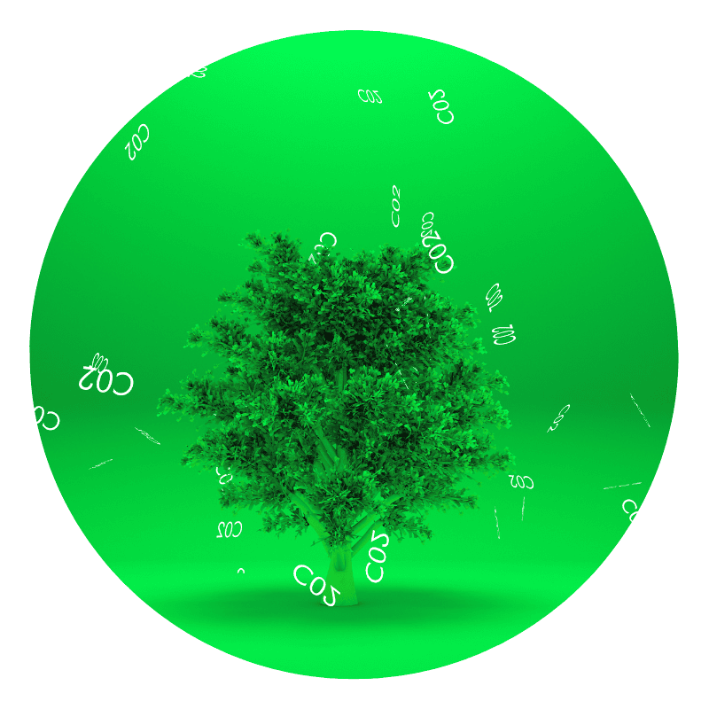 Tree absorbing CO2 in green background